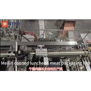Customized Canned Beef Production Line with 80-400 Cans/Minute Output and 500