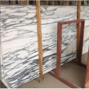 2017 the Best Quality ,Top Polish Arabescato Corchia Marble Slabs,Marble Slab
