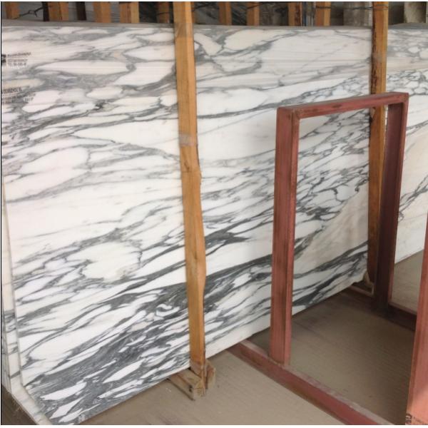 2017 the Best Quality ,Top Polish Arabescato Corchia Marble Slabs,Marble Slab and Tile , Marble Mosaic