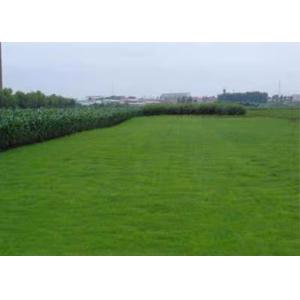 Easy Installation 25mm Interlocking Artificial Grass Turf Tile