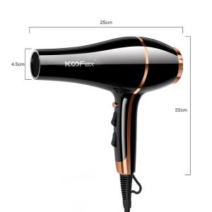 PTC Heater Ionic High Power Hair Dryer With Diffuser Multiscene AC Motor