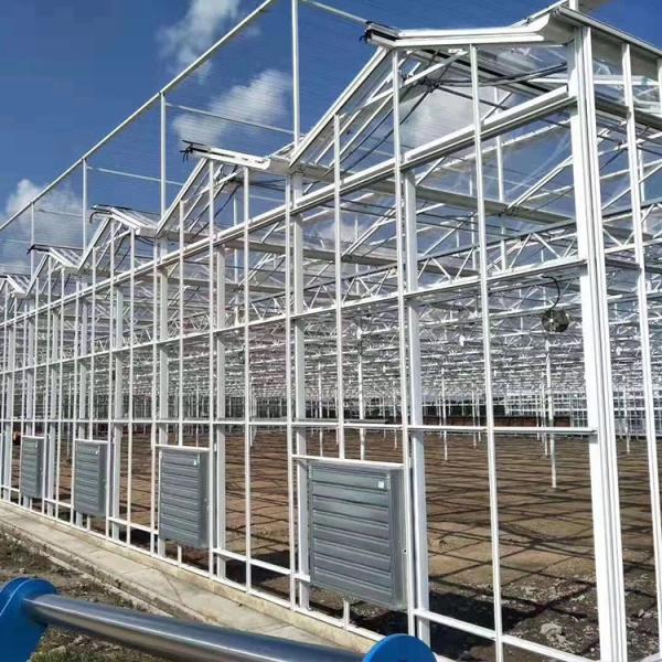 Gothic Venlo Type Greenhouse Agricultural Stable Structure Easily Assembled
