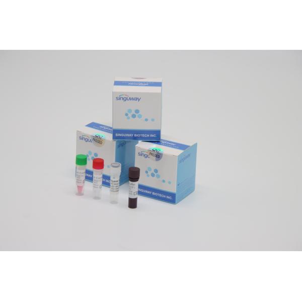 Lab Reagent RT PCR Test Kit High Stability For Varicella Zoster Virus VZV