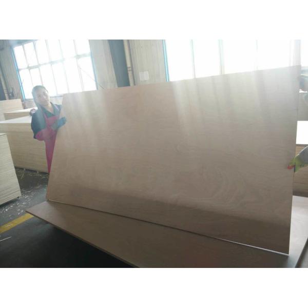 Eucalyptus 12mm Waterproof Film Faced Plywood For Construction