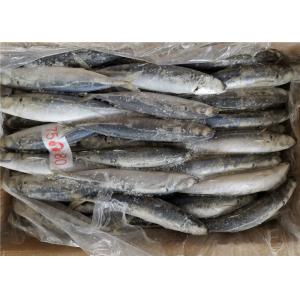75g 80g Gutted Shape Frozen Mackerel Fish For Bait