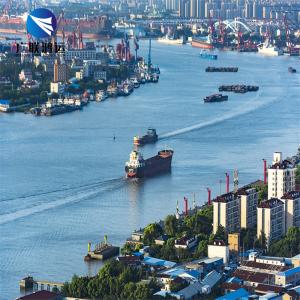 China FCL Top Ocean Freight Forwarders Shipping From Shenzhen To Canada UK Poland Kuwait on sale