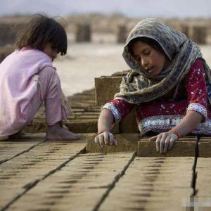 Hoffman Kiln Natural Drying Clay Brick Making Machine Fully Automatic Brick