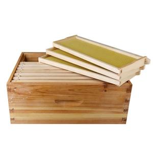 10 Frames Langstroth 2 Layers Complete Beehive Wax Coated For Beekeeping