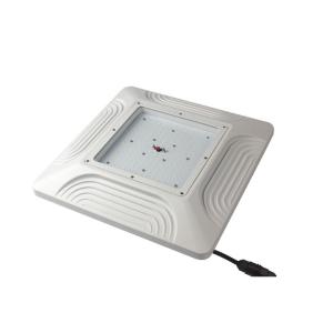 6500K LED Canopy Lights For Petrol Station