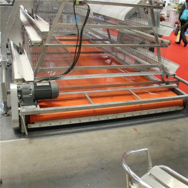 Reliable Poultry Litter Removal Equipment , Poultry Farm Machine Simple