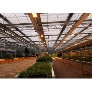 Commercial PC Sheet Greenhouse For Vegetables Seeds Vertical Farming