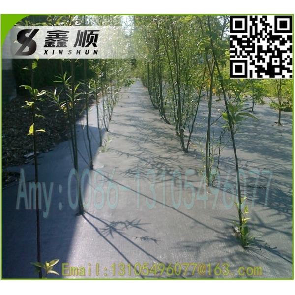 Buy 2016 High Quality black pp woven ground cover landscaping mats at wholesale prices