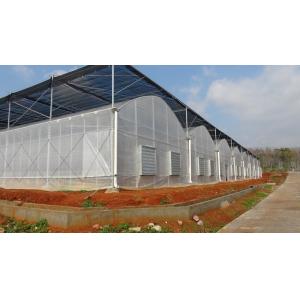 High Efficiency Agricultural Multi Span Greenhouse 200micro PE Film Covered
