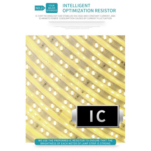 Decorative Ceiling Flexible LED Strip Lights Waterproof 180 Beads 11W