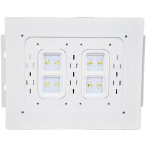 Quality IP65 Protection 100W LED Canopy Lights For Gas Station Lighting With Chip Meanwell for sale