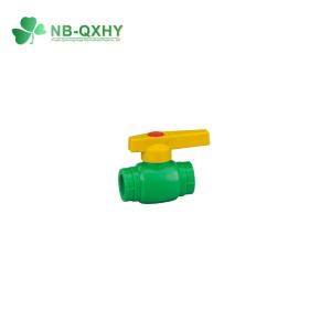 Brass-Enhanced PPR Water Pipe Fittings for Agricultural Pipes