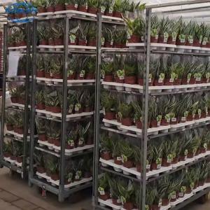 High Load Bearing Greenhouse Danish Flower Trolley Powder Coated