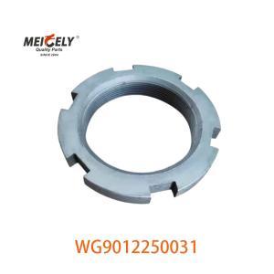 Picture Display WG9012250031 Heavy Truck Nut for Sinotruk Howo Truck