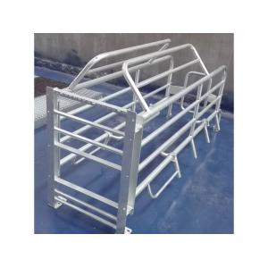 Steel Galvanized Pig Farrowing Crate Gray Color customized size with high