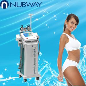China 10.4 inch screen touch control cryolipolysis slimming machine with 5 handles on sale