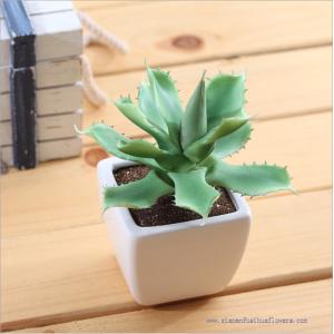 Artificial succulent plants