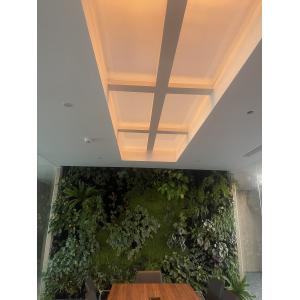 Rectangle Faux Skylight Panels 220mm Highness Customizable Solutions
