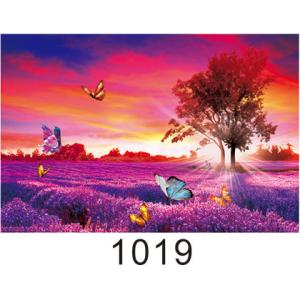 Environmentally Friendly 3d Lenticular Photo / Custom Lenticular Printing