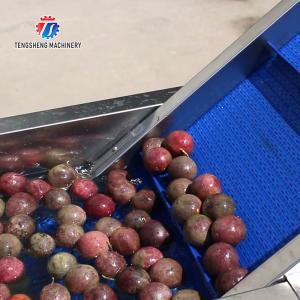 2pcs/Min Industrial Vegetable Processing Machine Automatic Elevator Food