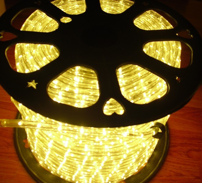Buy 1/2" 2 wire round led lighting rope at wholesale prices