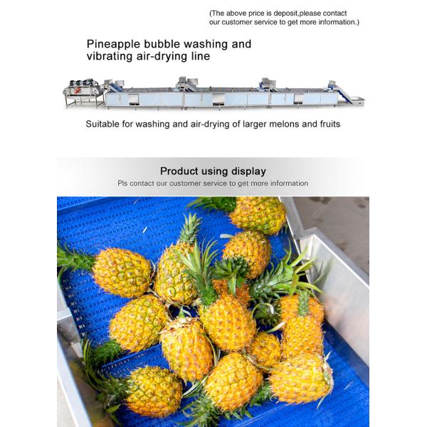 Pineapple bubble washing and vibrating air-drying line Fruit Vegetable FOOD processing production Machine