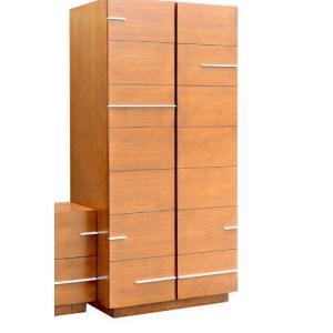 Quality Wooden hotel furniture wardrobe/closet/Armoire WD-0006 for sale