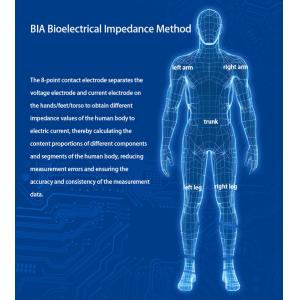 Ultrasonic Height Weight Scale Body Composition Analysis Machine