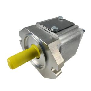 ECKERLE Hydraulic Machine Pump EIPS2-006RA04 EIPS2-008RA04