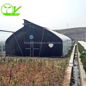 Single-Span Agricultural Greenhouse Mini Mushroom Greenhouse with Optional