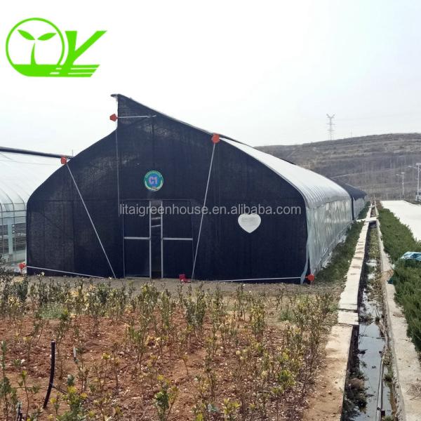 Single-Span Agricultural Greenhouse Mini Mushroom Greenhouse with Optional