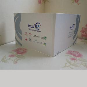Digital Promotional Video Brochure Built In Speaker / Rechargeble Battery