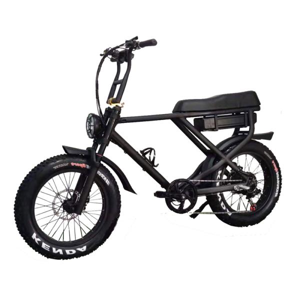 Removable Battery Full Suspension 1000W Electric Fat Bike with Lithium Power Supply