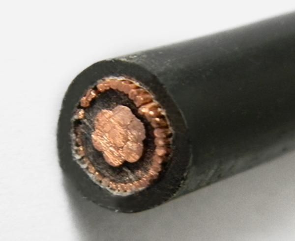 Best Price Single-Phase Insulated Low Voltage Cable Concentric Type