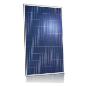 Quality Black PV Solar Panels / Monocrystalline Silicon Solar Panels Water Resistance for sale