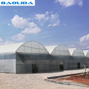 Vegetable Multiple Tunnel Plastic Film Sheet Covering Multi Span Greenhouse