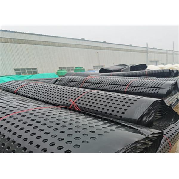 Landscape Engineering Single Side Black Hdpe Drainage Board 0.8-2.0mm Thick