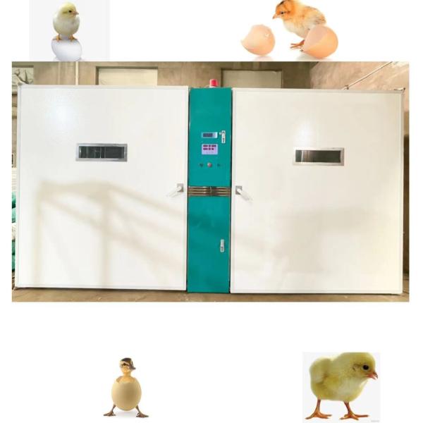 Buy Big Farm Chicken Egg Hatching Machine Large Scale 19200 Capacity at wholesale prices