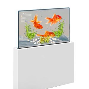 Sleek See Through OLED Display Touchscreen OLED Clear Display