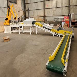 Warehouse Robotic Arm Palletizer 4 Axis Robotic Case Palletizing