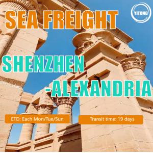 Sea Freight From China to Egypt Quick Safe Service