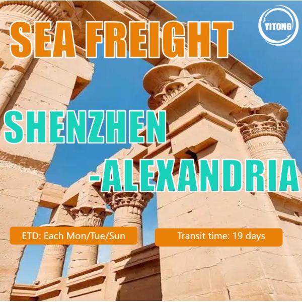 Buy Sea Freight From China to Egypt Quick Safe Service at wholesale prices