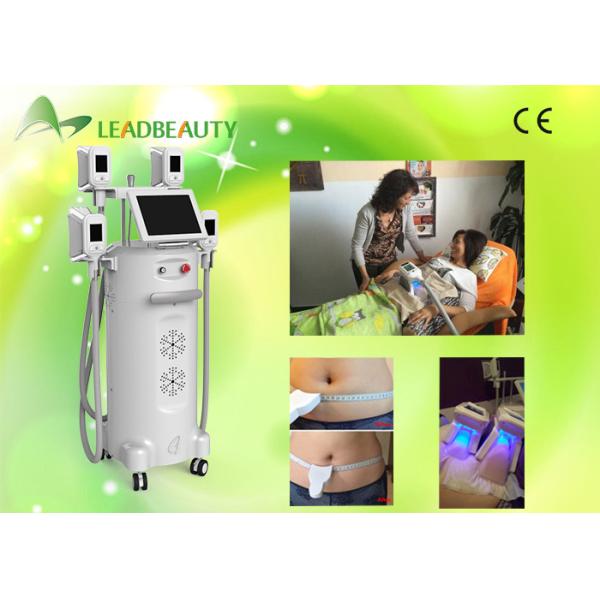 Buy 2016 factory directly sell best cryolipolysis machine fat freezing for dirtributor at wholesale prices