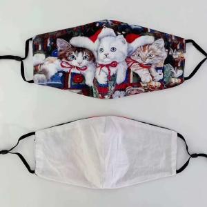 CE FDA 22*15cm PM2.5 Breathable Disposable Dust Mask