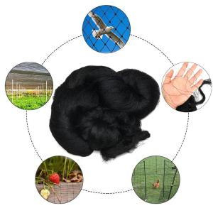 Quality Insect Protection Nets/Insect Net/Anti Bird Net for sale
