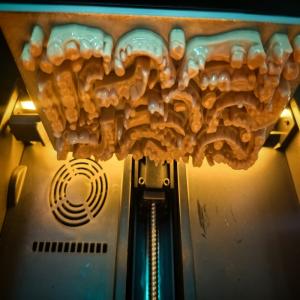 Opposite Jaw Model Long Shelf Life​​ 3D Dental Model Resin Micron-level